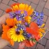 peoniesinvases